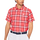 Short Sleeve Print Shirts