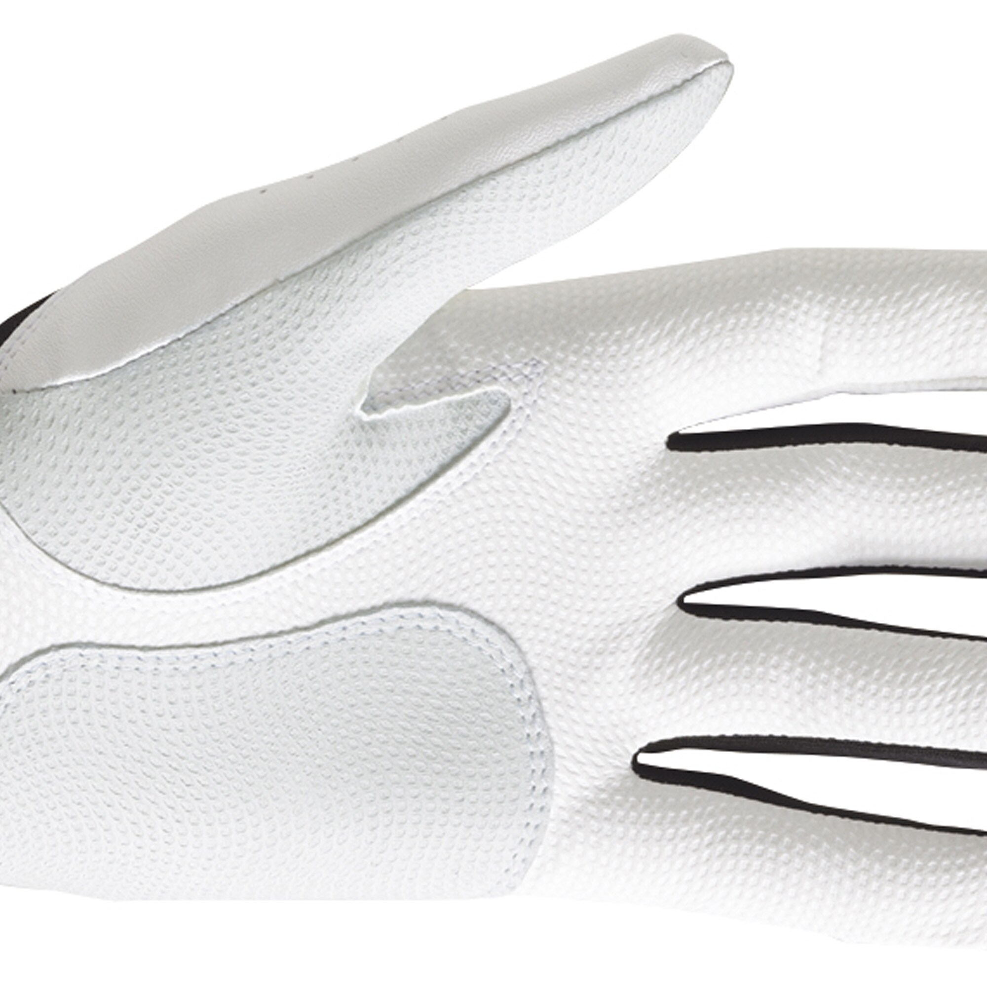 GTxtreme-Previous Season Style